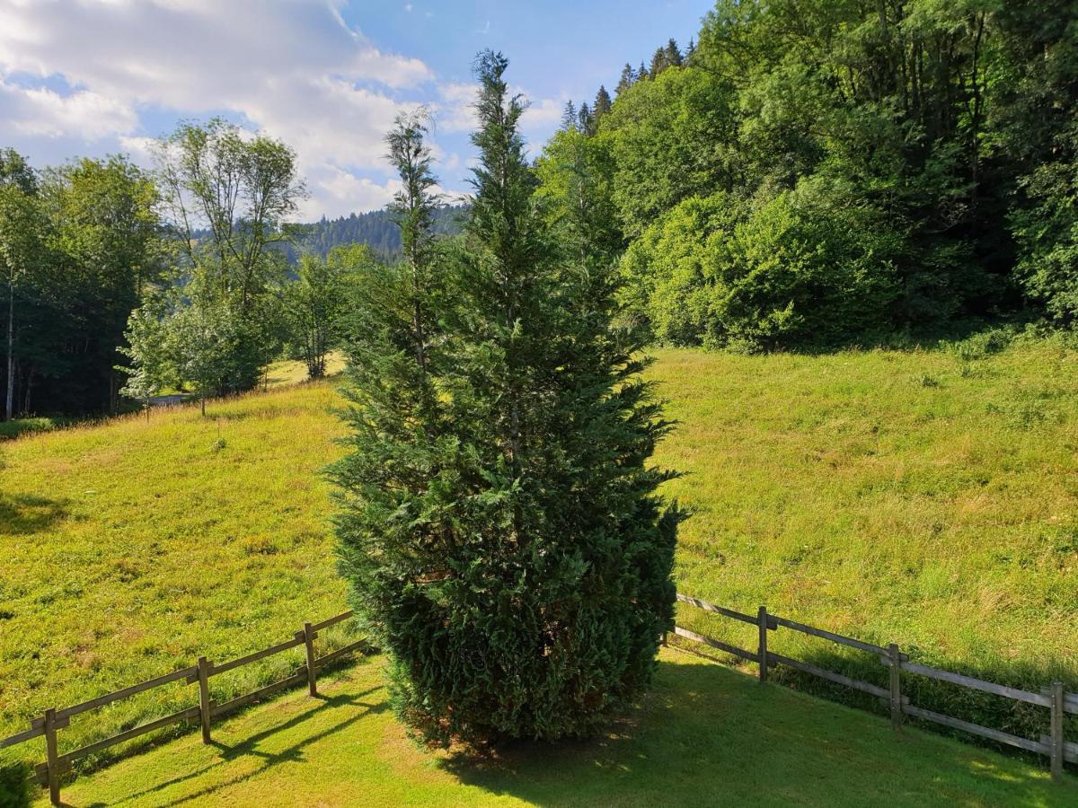Le Bois Joli Chalet 4 Etoiles Cledicihome Cadre Paisible En Lisiere De Foret Gerardmer Exterior photo