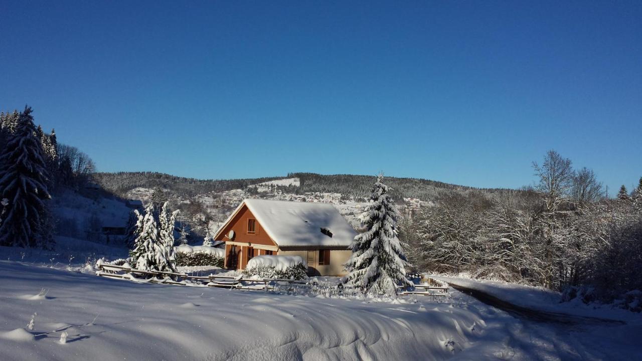 Le Bois Joli Chalet 4 Etoiles Cledicihome Cadre Paisible En Lisiere De Foret Gerardmer Exterior photo